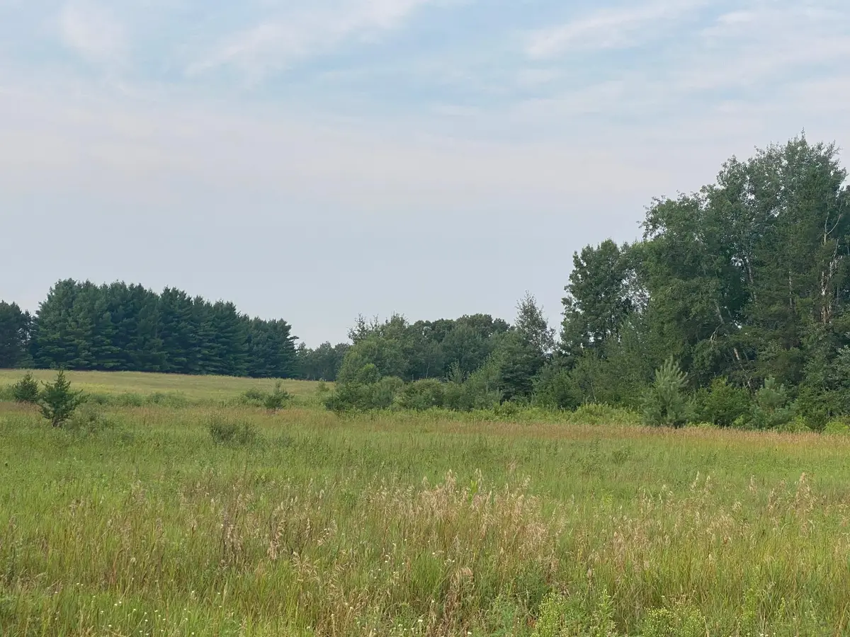 TBD 325th Avenue Nw, Princeton, MN 55371 - #1