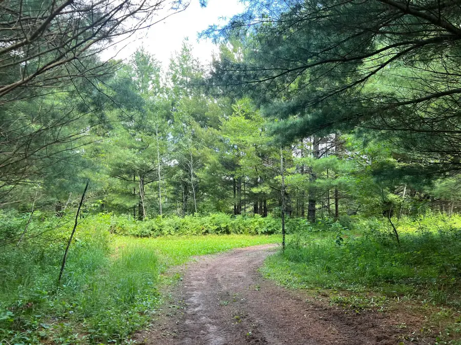 xxxxx Lily Lake Inn Road, Webster, WI 54893 - #2