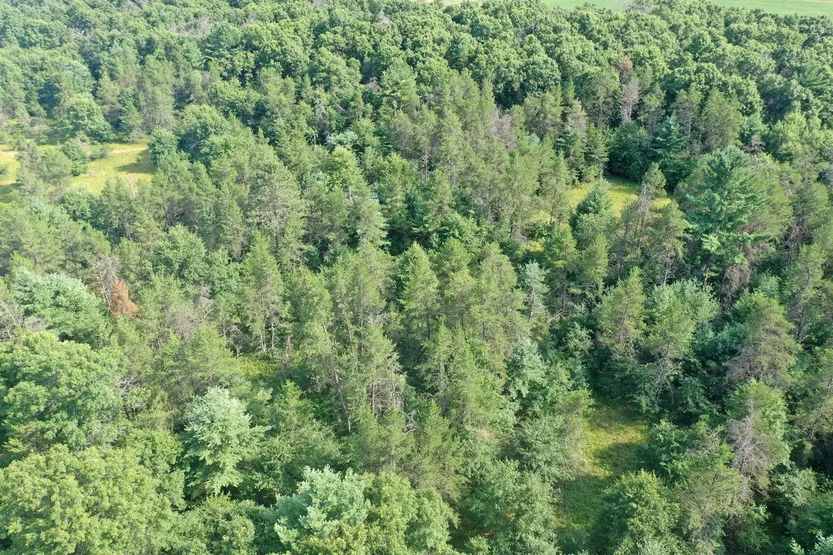 S13160 Camp Road, Fairchild, WI 54741 - #1