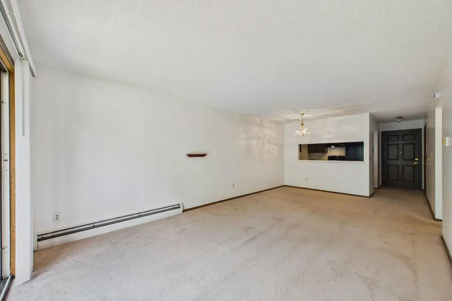2809 E Minnehaha Parkway #205, Minneapolis, MN 55417 - #2