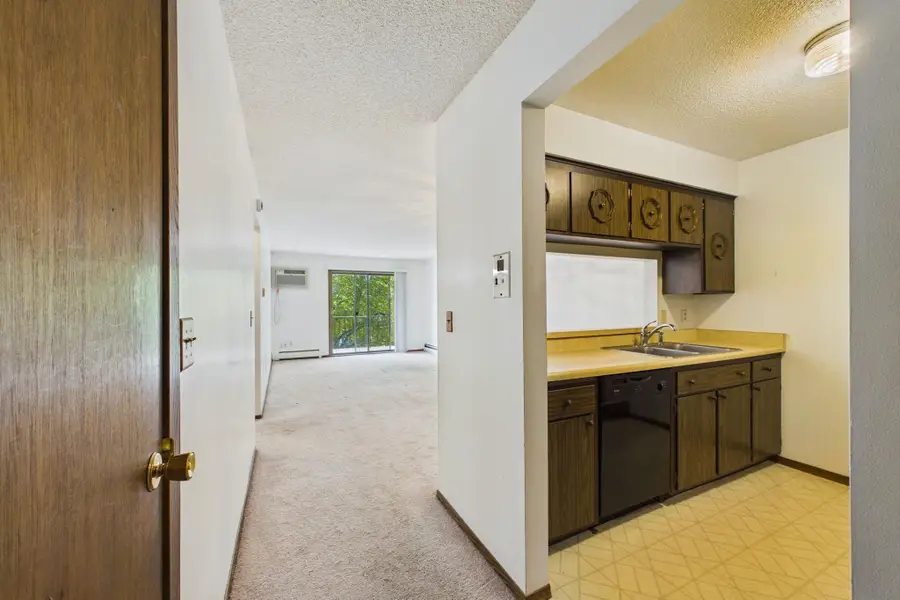 2809 E Minnehaha Parkway #205, Minneapolis, MN 55417 - #3