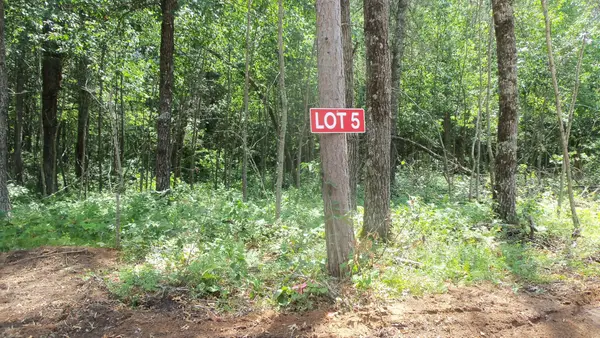 Lot 5 Brch Tree Trl, Spooner, WI 54801