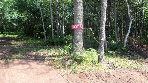 Lot 6 Birch Tree Trl, Spooner, WI 54801