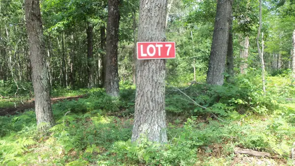 Lot 7 Birch Tree Trl, Spooner, WI 54801
