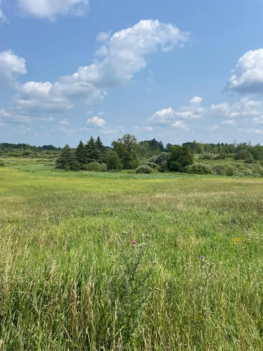 14331 395th Lane, Tamarack, MN 55787 - #2
