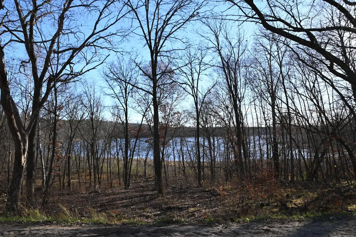 TBD Ottawa Drive, Browerville, MN 56438 - #1