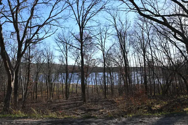 TBD Ottawa Drive, Browerville, MN 56438