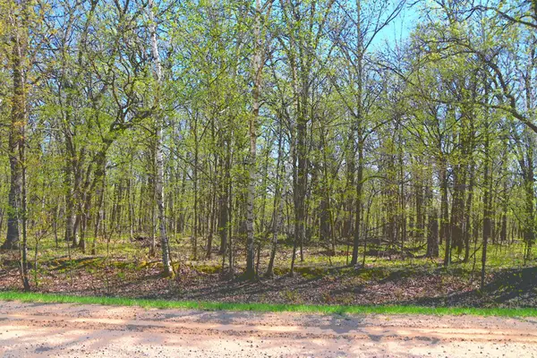 TBD 392 Street, Fawn Lake Twp, MN 56438