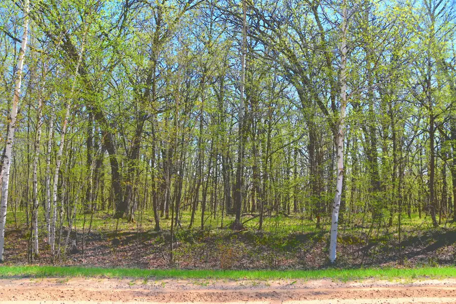 TBD 392 Street, Fawn Lake, MN 56438 - #2