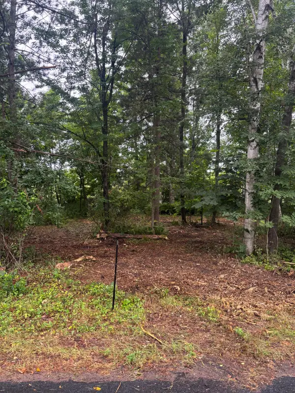 TBD W Bone Lake Dr, Milltown, WI 54858