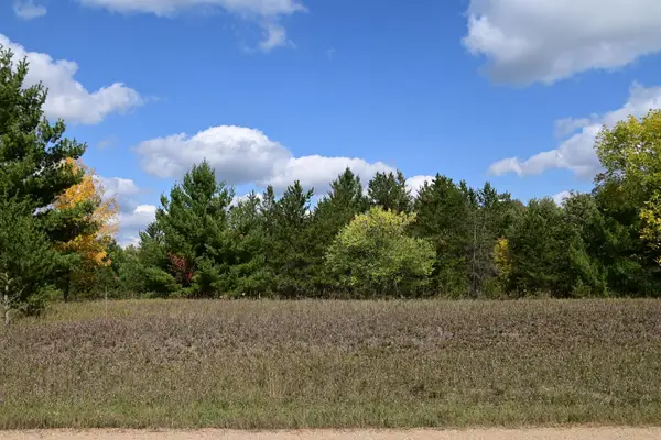 TBD Oak Drive, Browerville, MN 56438