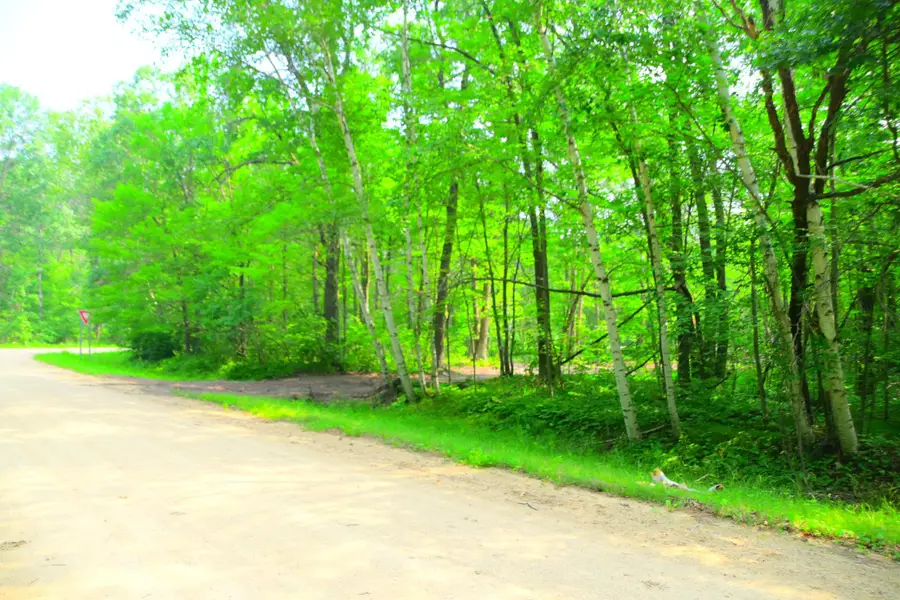 27537 Ode Circle, Browerville, MN 56438 - #3