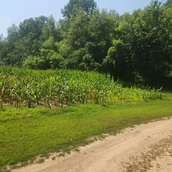 xxx 220th Ave Lot 3, New Richmond, WI 54017