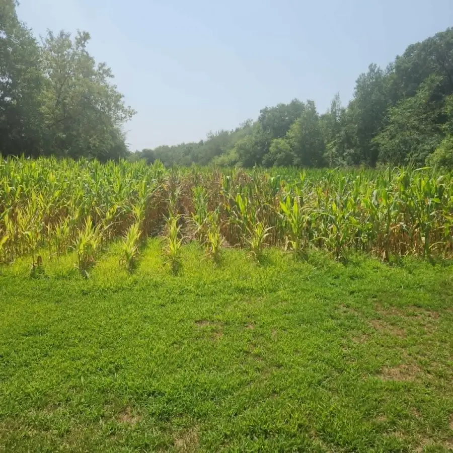 xxx 220th Ave Lot 3, New Richmond, WI 54017 - #2