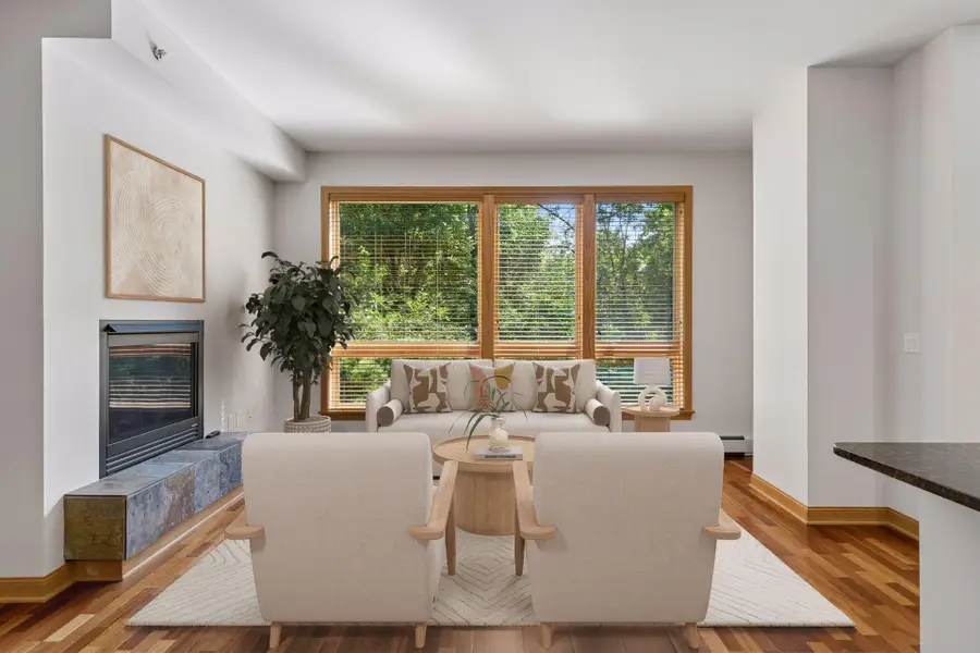 4201 Sunset Drive #N221, Spring Park, MN 55384 - #2