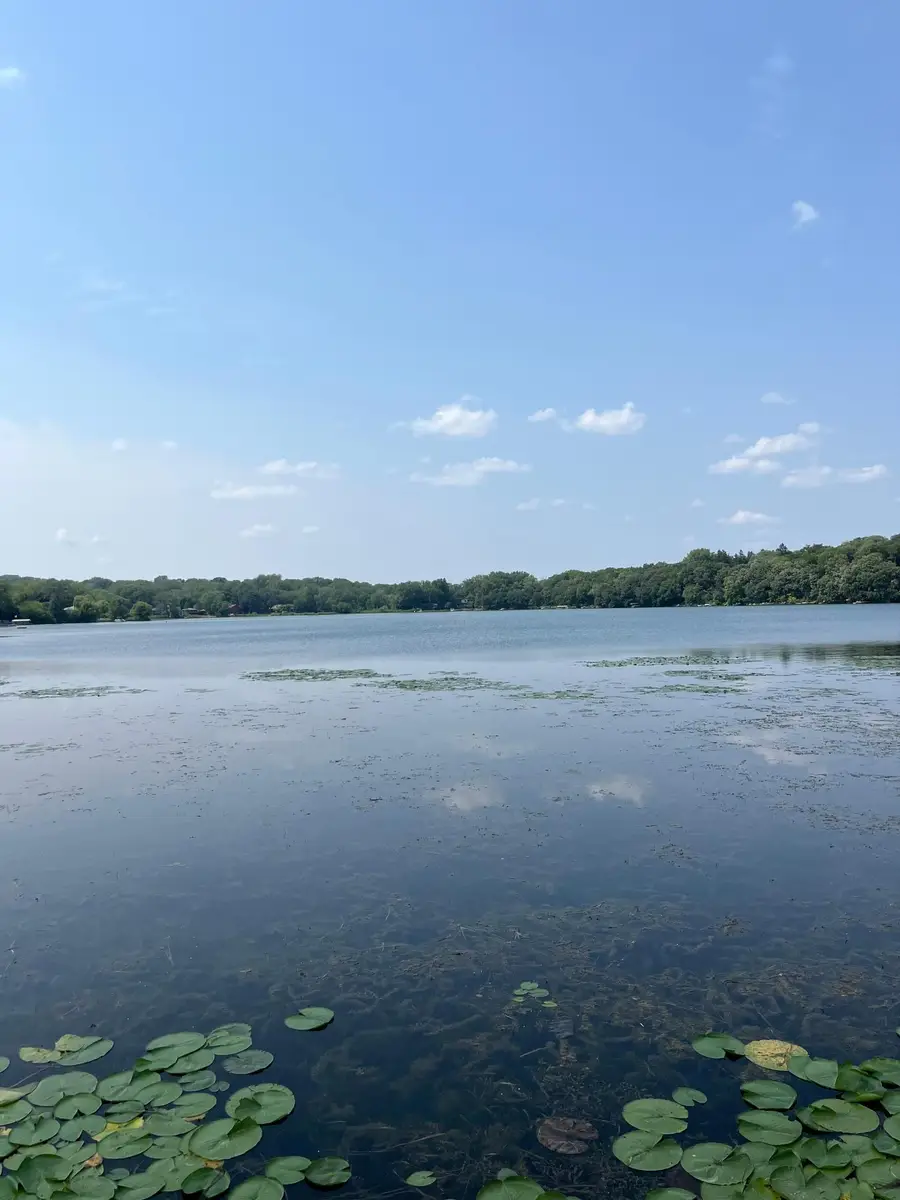 218 Mccarrons Place W, Roseville, MN 55113 - #3