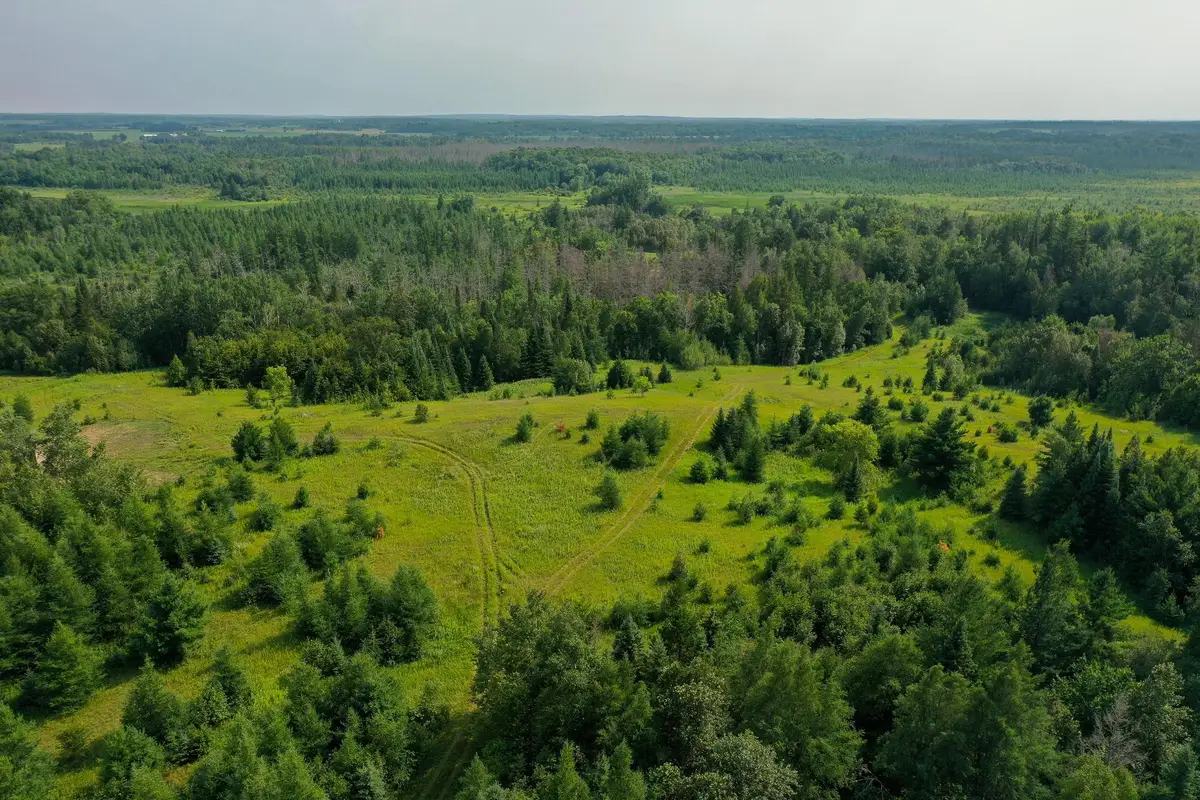 TBD Wilderness Drive, Frazee, MN 56544 - #1