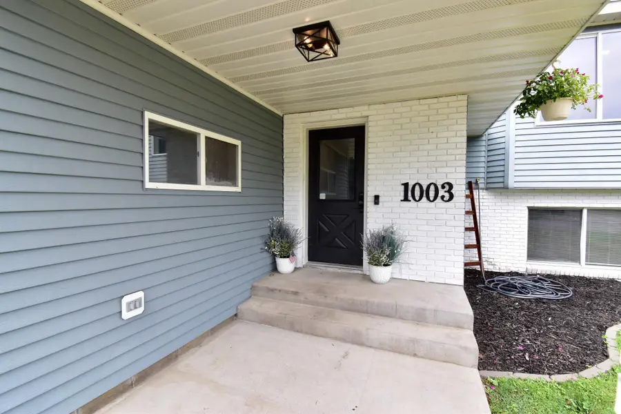 1003 2nd Street S, Cold Spring, MN 56320 - #2