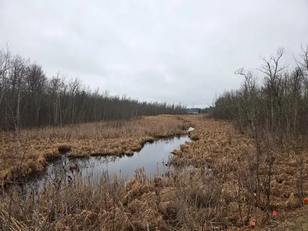TBD County 11, Longville, MN 56655