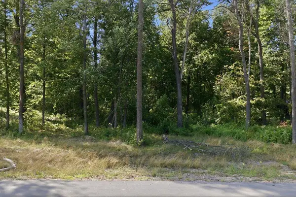 TBD Maplewood Ridge Road, East Gull Lake, MN 56401