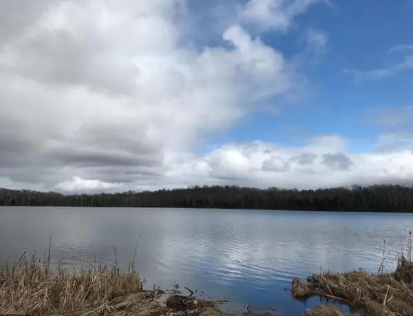 XXX Brandon Road, Brookston, MN 55720