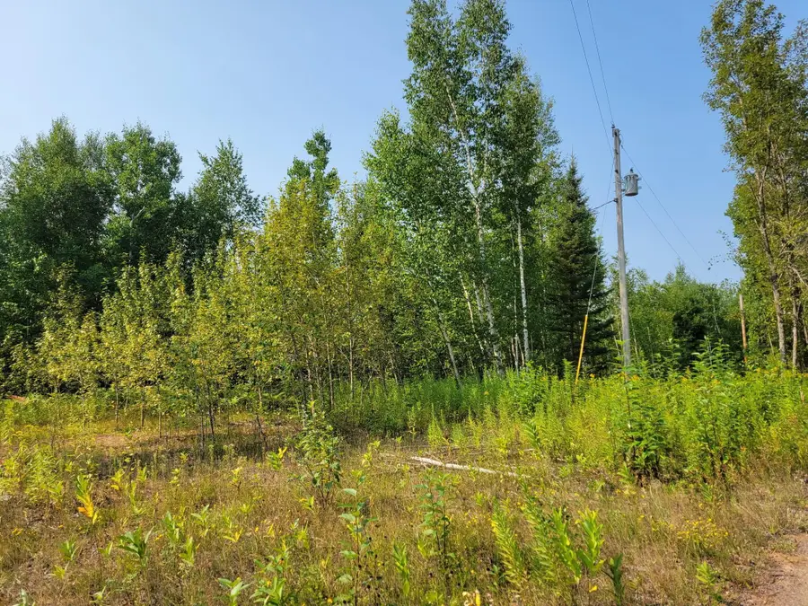 XXX Brandon Road, Arrowhead, MN 55720 - #3