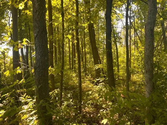 Lot 1 County Road Bb, Woodville, WI 54028 - #1