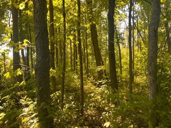 Lot 1 County Road Bb, Woodville, WI 54028