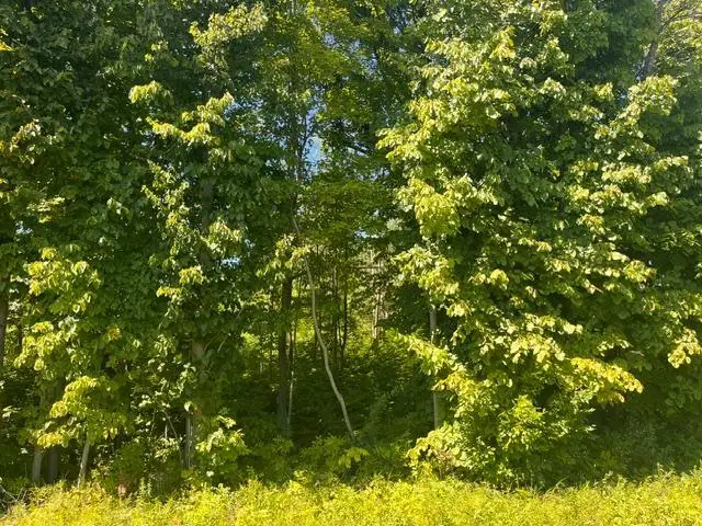 Lot 1 County Road Bb, Woodville, WI 54028 - #3