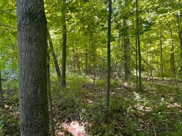 Lot 2 County Rd Bb, Woodville, WI 54028