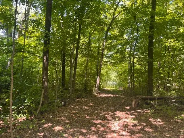 Lot 2 County Rd Bb, Woodville, WI 54028 - #2