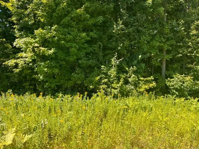 Lot 2 County Rd Bb, Woodville, WI 54028 - #3