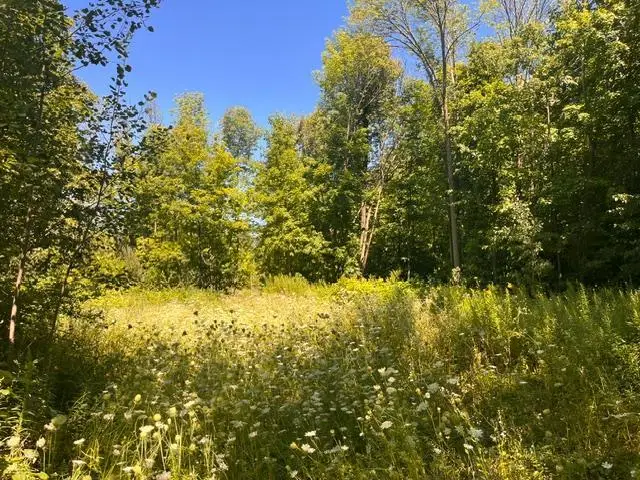 Lot 3 60th Avenue, Woodville, WI 54028 - #1