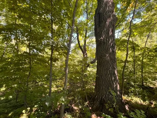 Lot 3 60th Avenue, Woodville, WI 54028 - #2