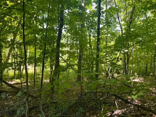 Lot 3 60th Avenue, Woodville, WI 54028 - #3