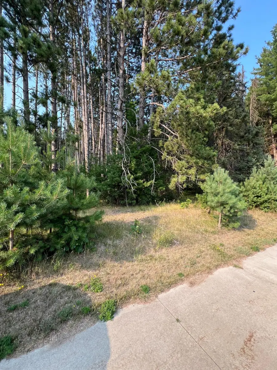 TBD Ridgwood, Grand Rapids, MN 55744 - #3
