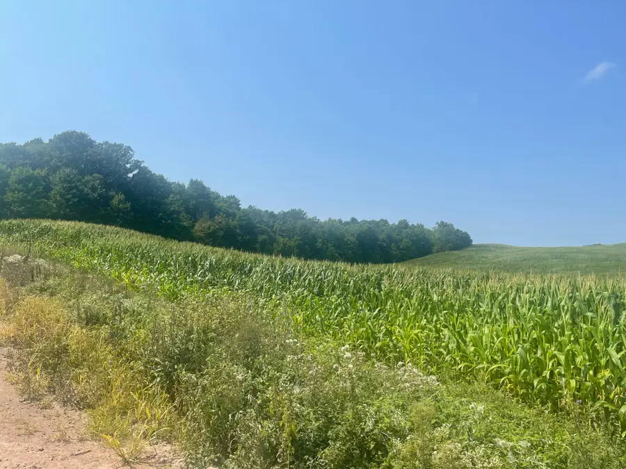 XX 190th Street, Eureka, WI 54024 - #3