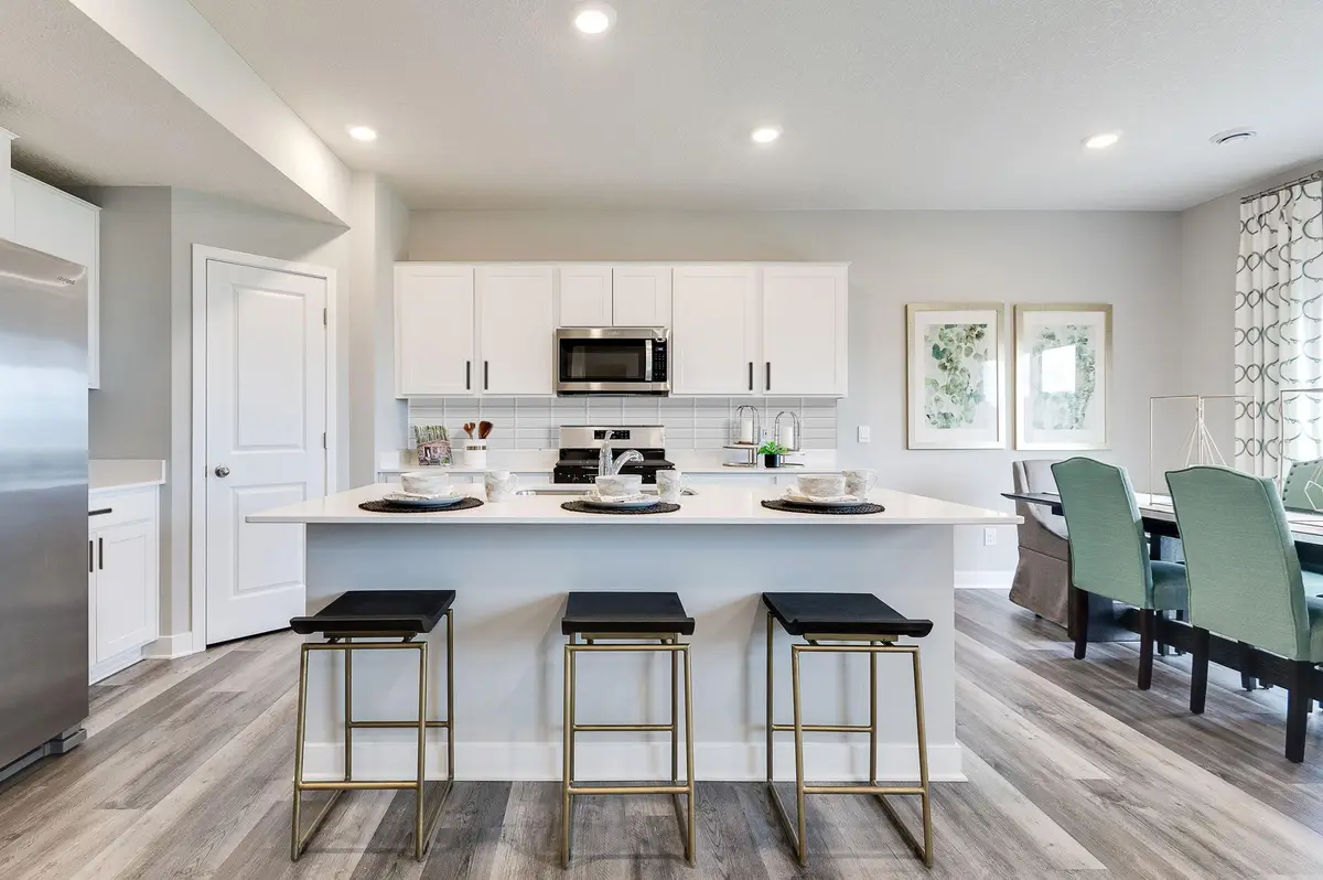 156 Snowdrop Trail, Waconia, MN 55387 - #1