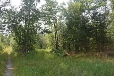 15690 330th Street, McGregor, MN 55760 - #1