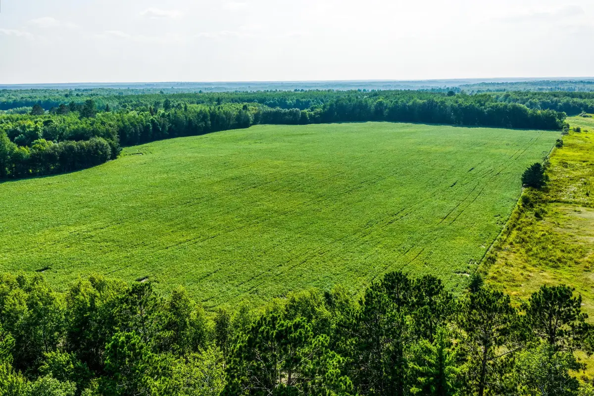 TBD Buzzle Road Nw, Shevlin, MN 56676 - #1