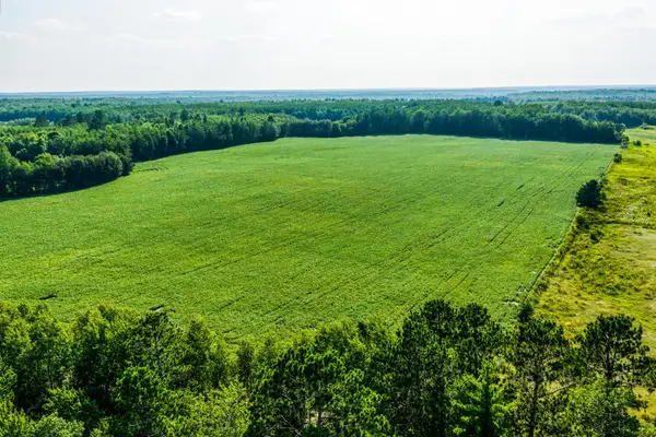TBD Buzzle Road Nw, Shevlin, MN 56676