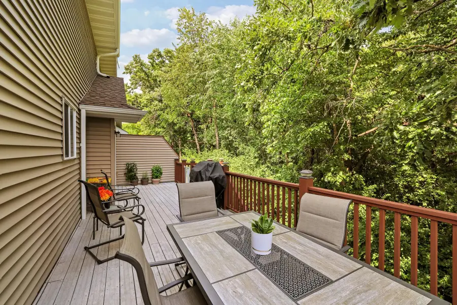 14995 Chestnut Lane, Savage, MN 55378 - #3