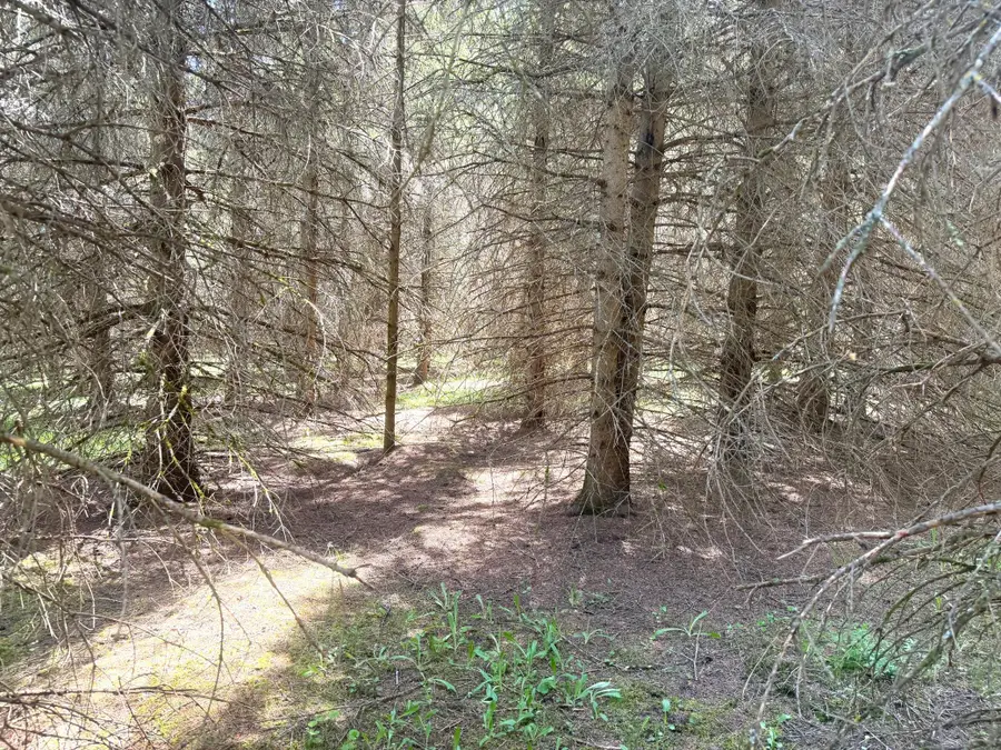 TBD- Parcel C Sleepy Hollow Road, Brainerd, MN 56401 - #3