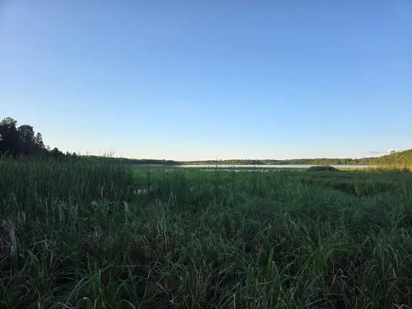 TBD (lot 2) 190th Street, Bagley, MN 56621