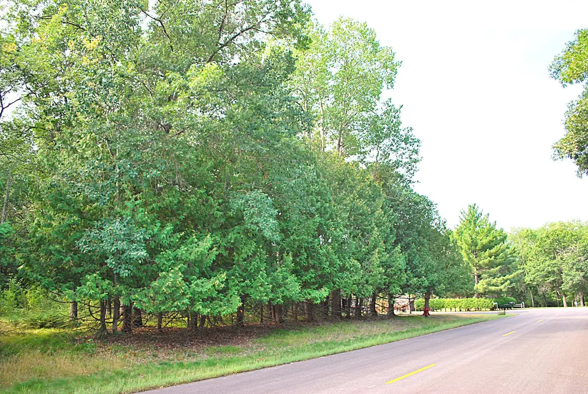 TBD Marohn Road, Baxter, MN 56425 - #1