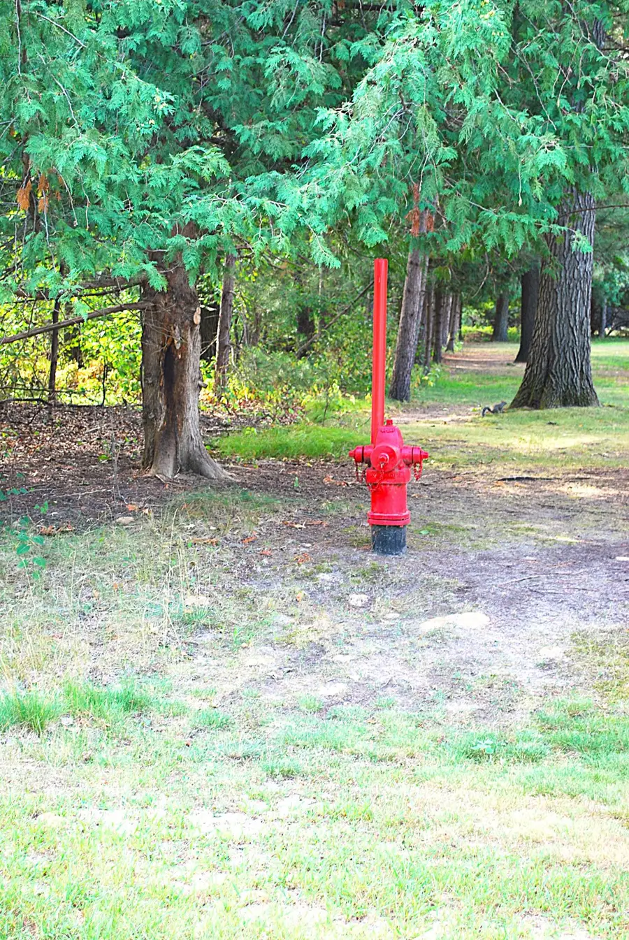 TBD Marohn Road, Baxter, MN 56425 - #2
