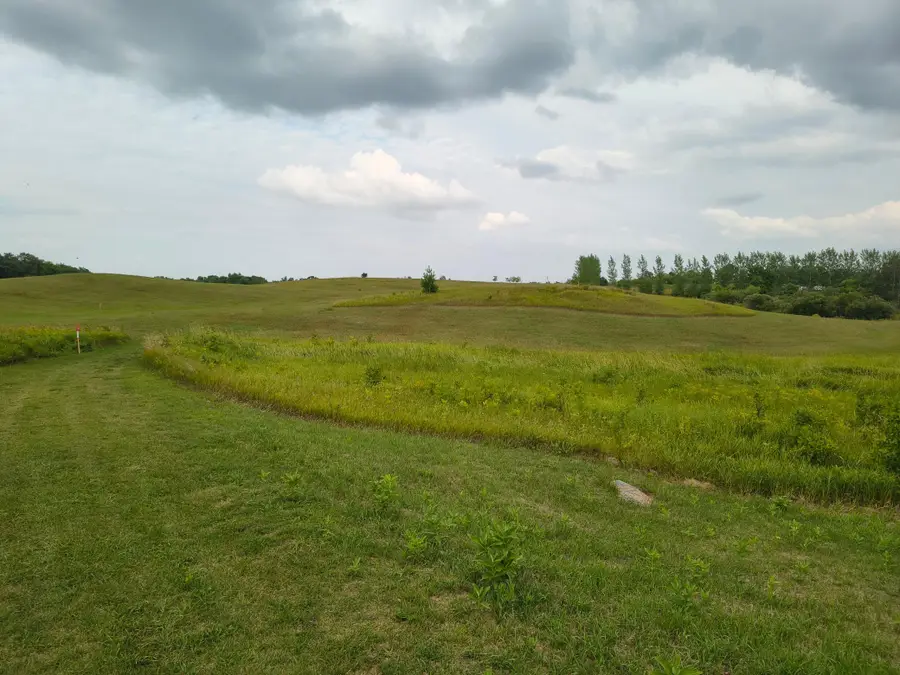 TBD Buckskin Road Ne, Carlos, MN 56319 - #2