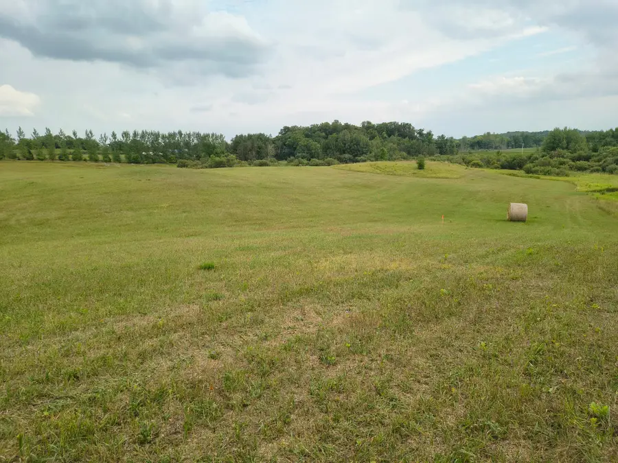 TBD Buckskin Road Ne, Carlos, MN 56319 - #3