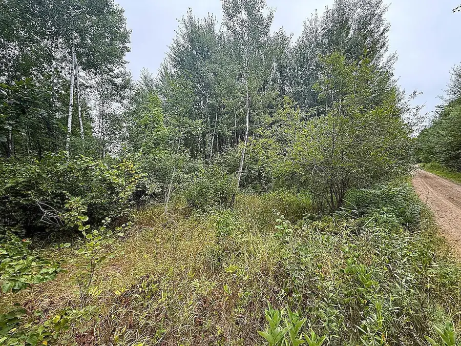 10046 Legionville Road, Brainerd, MN 56401 - #2