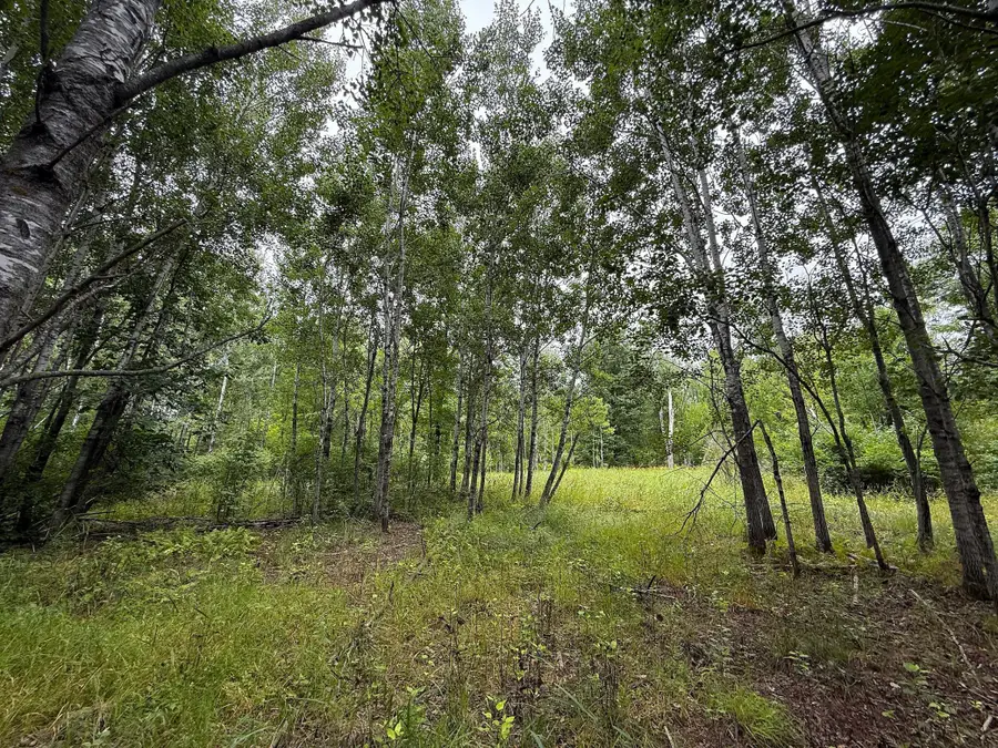 10046 Legionville Road, Brainerd, MN 56401 - #3